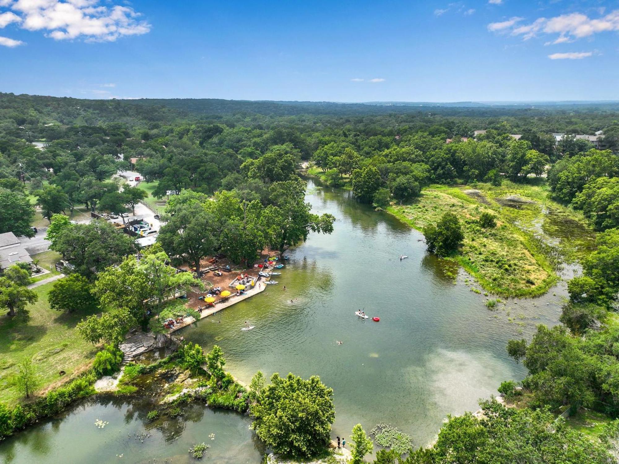 Lily Pad * Wimberley