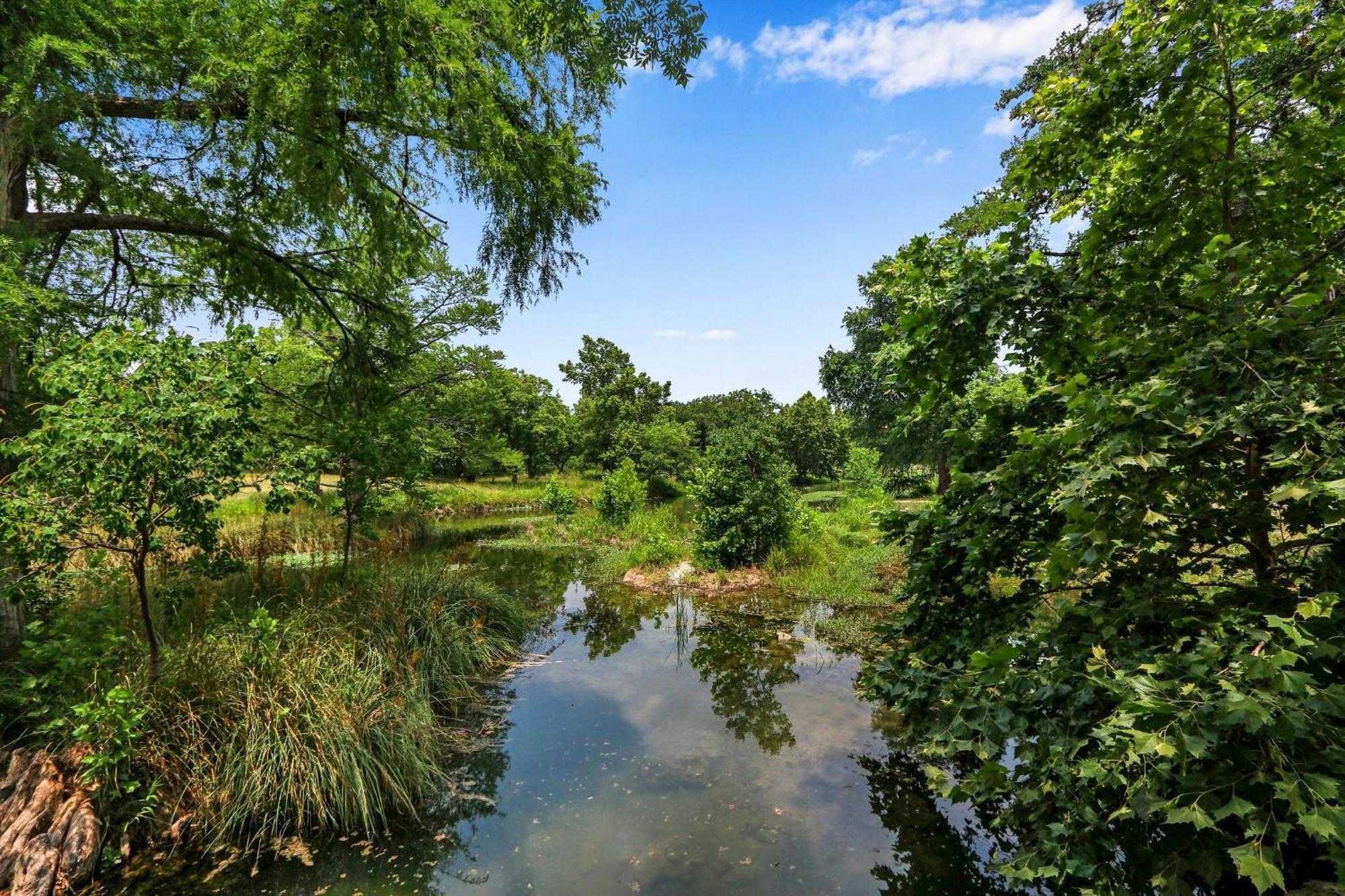 Lily Pad * Wimberley